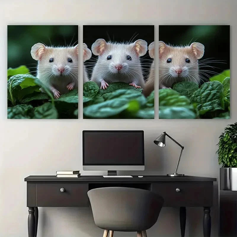 3pcs White Rats Painting Pets Portrait Wall Art Set Canvas Framed 50x70cm - High Quality Print 100% Australian Made Wall Canvas Ready to Hang