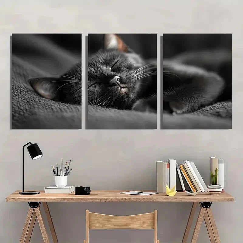 3pcs Black Cat Sleeping Vintage Aesthetic Wall Art Set Canvas Framed 50x70cm - High Quality Print 100% Australian Made Wall Canvas Ready to Hang