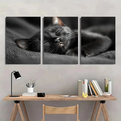 3pcs Black Cat Sleeping Vintage Aesthetic Wall Art Set Canvas Framed 50x70cm - High Quality Print 100% Australian Made Wall Canvas Ready to Hang