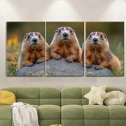 3pcs Three Funny Sitting on a Rock i B I Wall Art Set Canvas Framed 40x60cm - High Quality Print 100% Australian Made Wall Canvas Ready to Hang