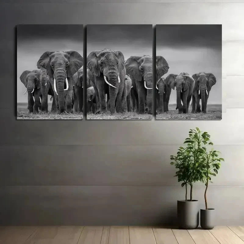 3pcs Elephants in David Yarrow Style Metal Print Ready to Hang Art
