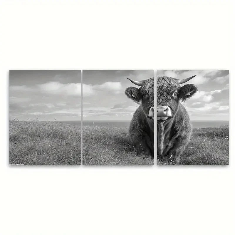 3pcs Black & White Rustic Scottish Highland Bull Wall Art Set Canvas Framed 50x70cm - High Quality Print 100% Australian Made Wall Canvas Ready to Hang