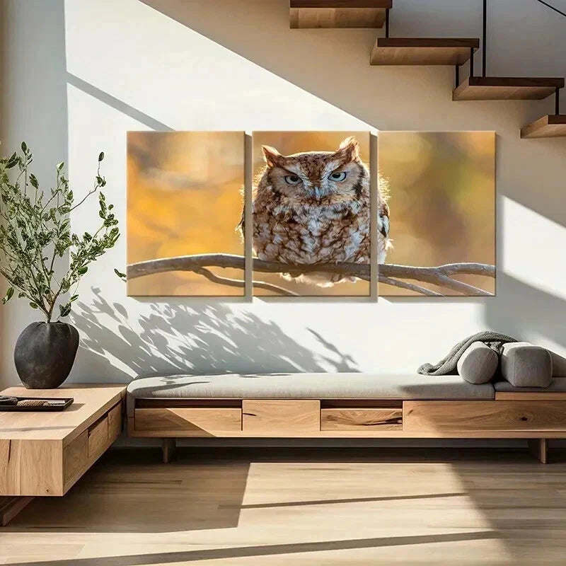 3pcs Animal Art Cute Owl Bird on a Branch Wall Art Set Canvas Framed 40x60cm - High Quality Print 100% Australian Made Wall Canvas Ready to Hang
