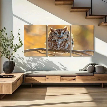 3pcs Animal Art Cute Owl Bird on a Branch Wall Art Set Canvas Framed 40x60cm - High Quality Print 100% Australian Made Wall Canvas Ready to Hang
