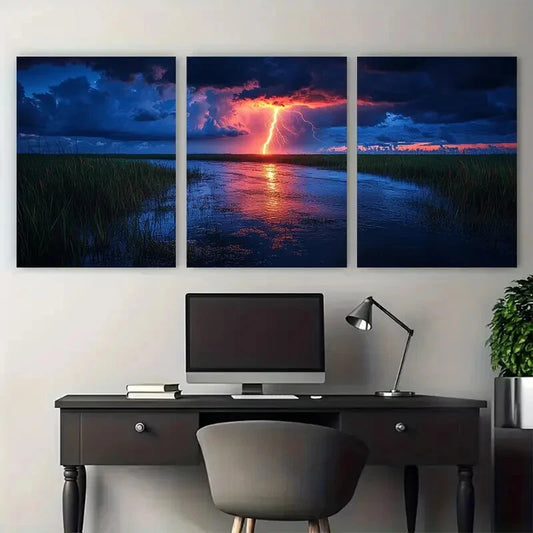 3pcs Lightning Whelk Everglades National Park Metal Print Ready to Hang Art