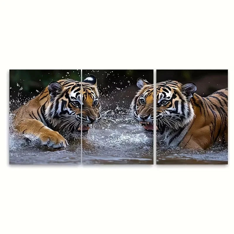 3pcs Two Tigers Play Fighting in Water Wall Art Set Canvas Framed 40x60cm - High Quality Print 100% Australian Made Wall Canvas Ready to Hang