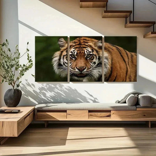 3pcs Realistic Tiger Watching Print Wall Art Set Canvas Framed 40x60cm - High Quality Print 100% Australian Made Wall Canvas Ready to Hang