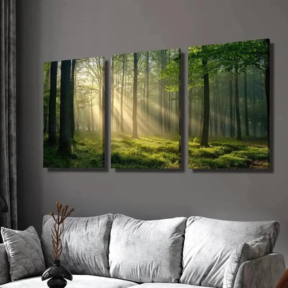 3pcs Sunlight Shining Through Green Forest Wall Art Set Canvas Framed 40x60cm - High Quality Print 100% Australian Made Wall Canvas Ready to Hang