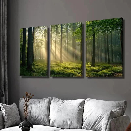 3pcs Sunlight Shining Through Green Forest Wall Art Set Canvas Framed 40x60cm - High Quality Print 100% Australian Made Wall Canvas Ready to Hang
