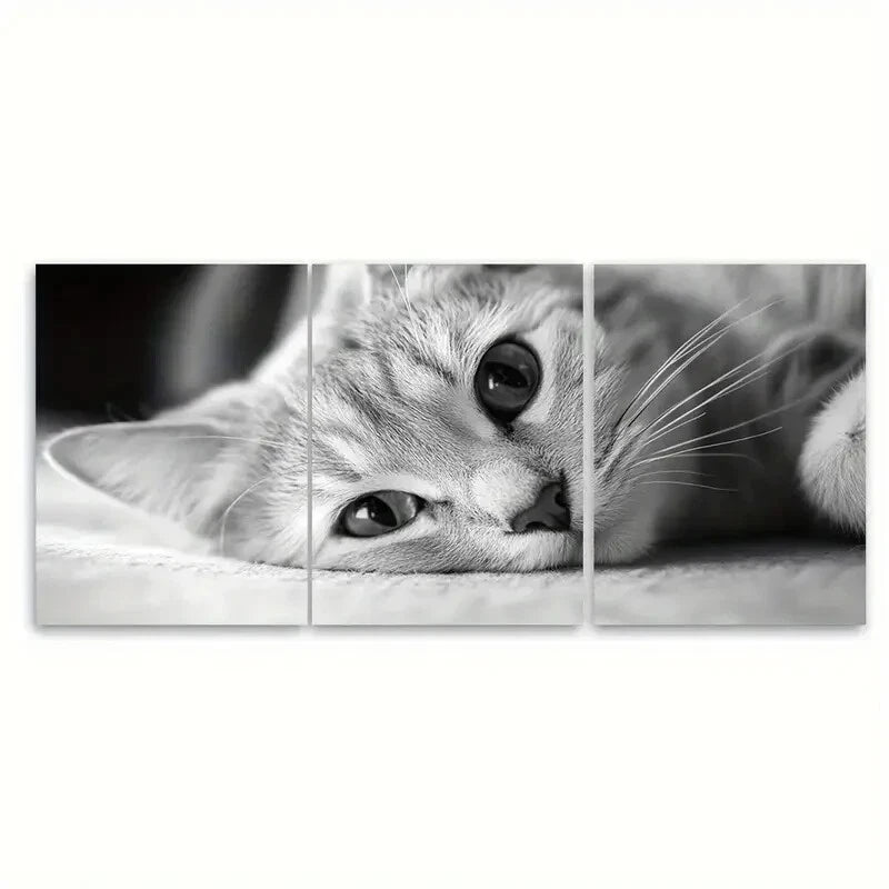 3pcs Black & White Adorable Kitten Art Print Metal Print Ready to Hang Art