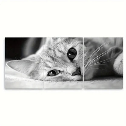 3pcs Black & White Adorable Kitten Art Print Metal Print Ready to Hang Art