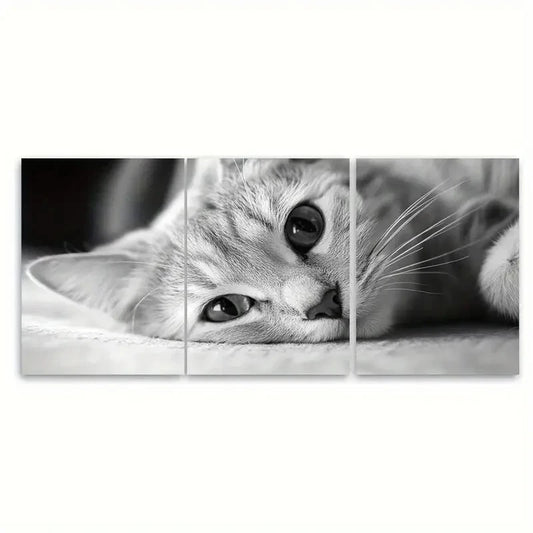 3pcs Black & White Adorable Kitten Art Print Metal Print Ready to Hang Art