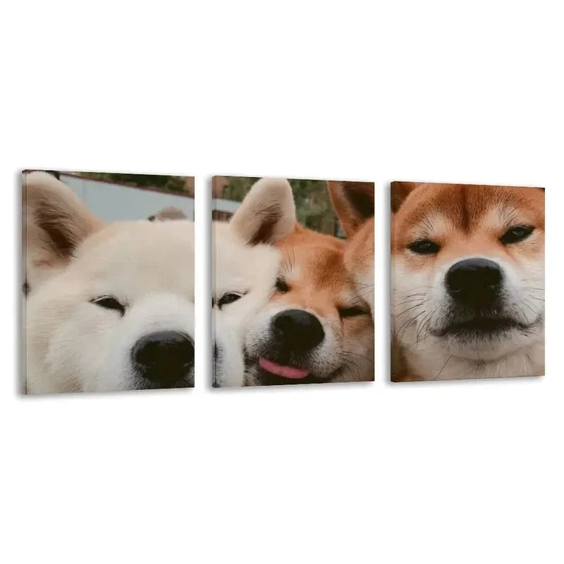 3pcs Modern Cute Shiba inu Dogs Wall Art Set Canvas Framed 50x70cm - High Quality Print 100% Australian Made Wall Canvas Ready to Hang