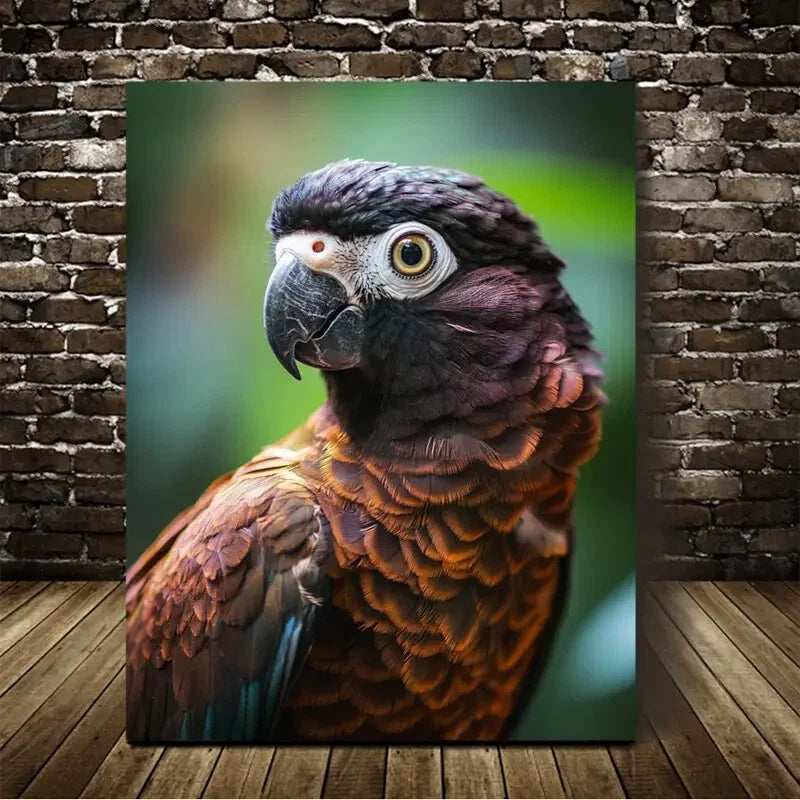 Beautiful Chocolate Brown Parrot Painting 40x60cm Metal Print Ready to Hang