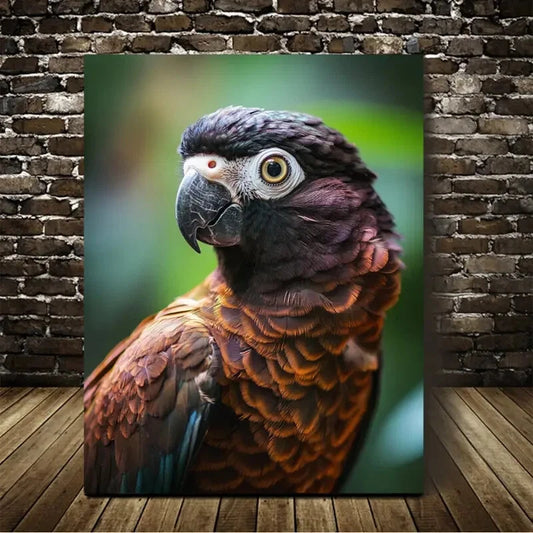 Beautiful Chocolate Brown Parrot Painting 40x60cm Metal Print Ready to Hang
