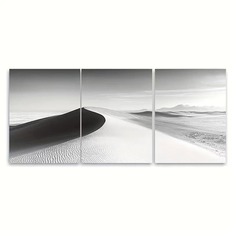3pcs Black And White Sand Dunes Metal Print Ready to Hang Art