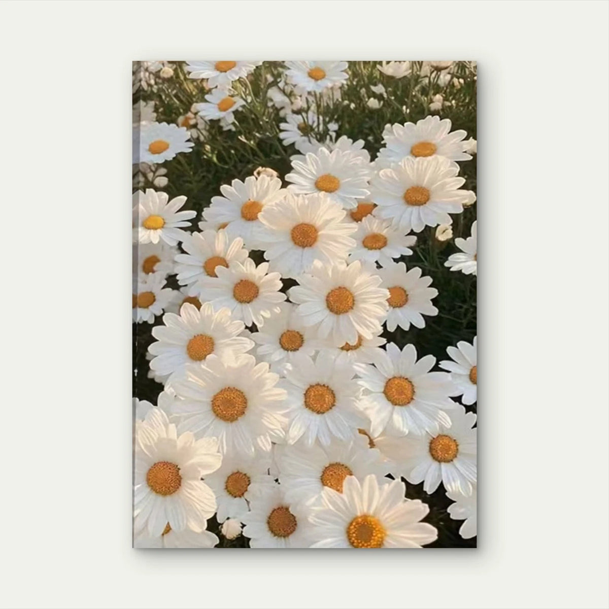 Classic Elegant Daisies & Fields Landscape 60x90cm Metal Print Ready to Hang