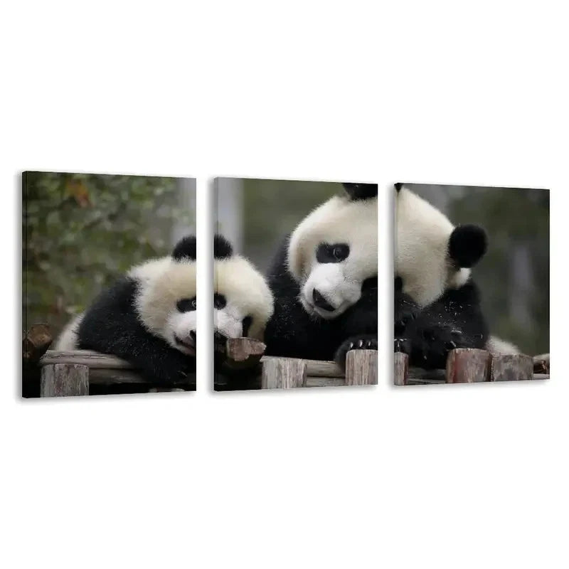 3pcs A Mother Panda and Her Cub Play   Wall Art Set Canvas Framed 60x90cm - High Quality Print 100% Australian Made Wall Canvas Ready to Hang
