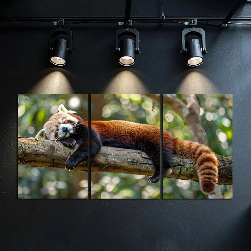 3pcs Red Panda Sleeping on The Branch of a Tree Metal Print Ready to Hang Art