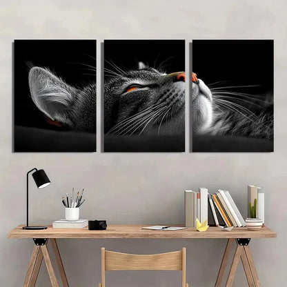 3pcs Black and White Whimsical Cat Wall Art Set Canvas Framed 40x60cm - High Quality Print 100% Australian Made Wall Canvas Ready to Hang