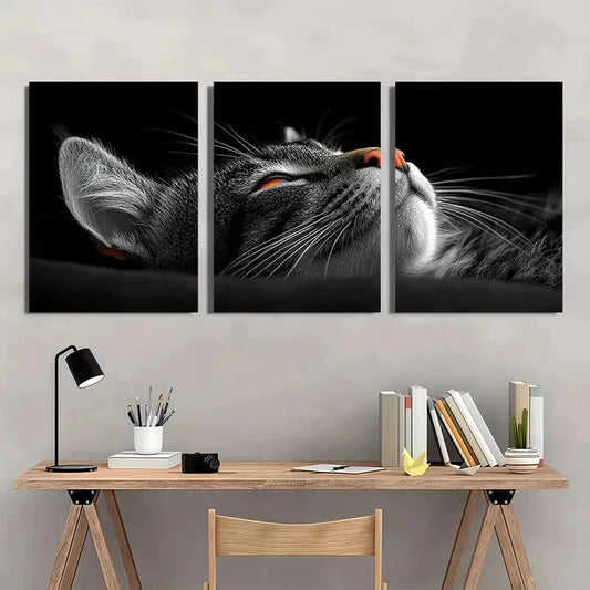3pcs Black and White Whimsical Cat Wall Art Set Canvas Framed 40x60cm - High Quality Print 100% Australian Made Wall Canvas Ready to Hang