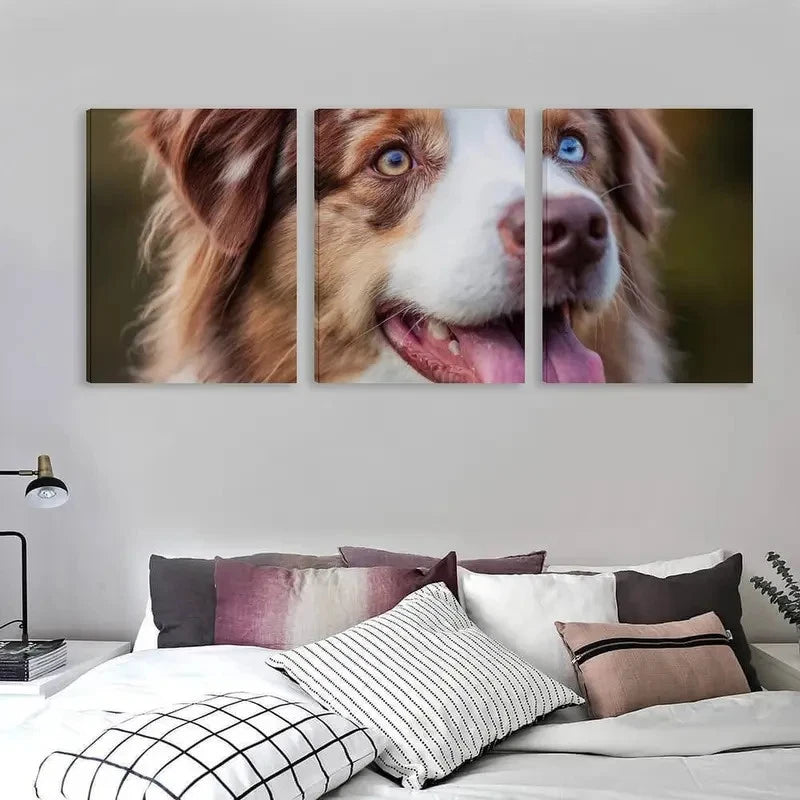 3pcs Australian Shepherd Dog with one blue eye  Wall Art Set Canvas Framed 60x90cm - High Quality Print 100% Australian Made Wall Canvas Ready to Hang