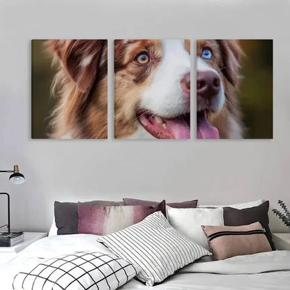 3pcs Australian Shepherd Dog with one blue eye  Wall Art Set Canvas Framed 60x90cm - High Quality Print 100% Australian Made Wall Canvas Ready to Hang