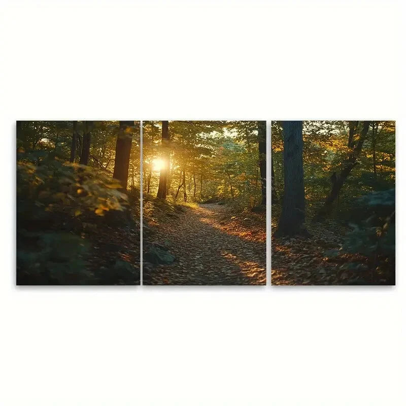 3pcs Golden Light Filtering Through Autumn Forest Metal Print Ready to Hang Art