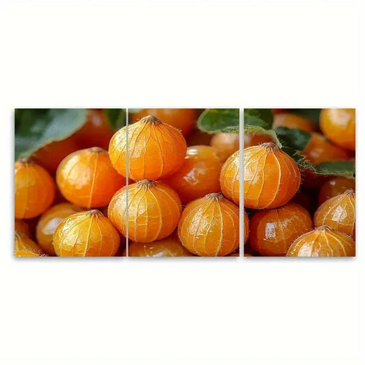 3pcs Cape Gooseberry Physalis Fruit Metal Print Ready to Hang Art