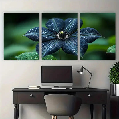 3pcs Natural Black Clematis Flower Botanical Wall Art Set Canvas Framed 40x60cm - High Quality Print 100% Australian Made Wall Canvas Ready to Hang