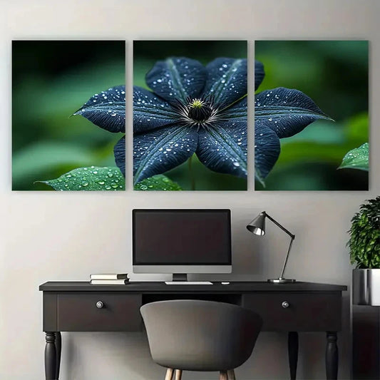 3pcs Natural Black Clematis Flower Botanical Wall Art Set Canvas Framed 40x60cm - High Quality Print 100% Australian Made Wall Canvas Ready to Hang