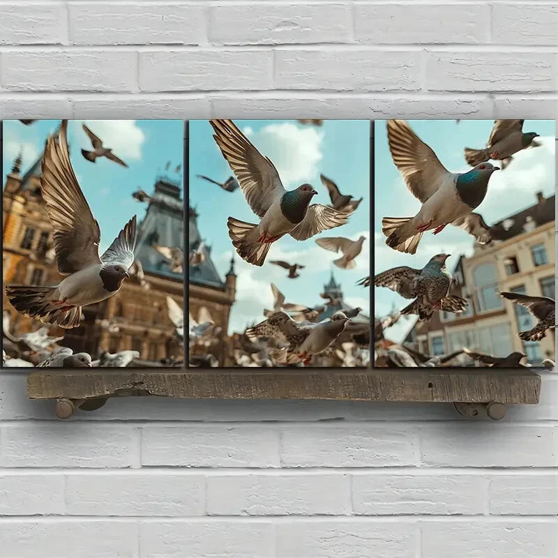3pcs Pigeons On Buildings Square Metal Print Ready to Hang Art