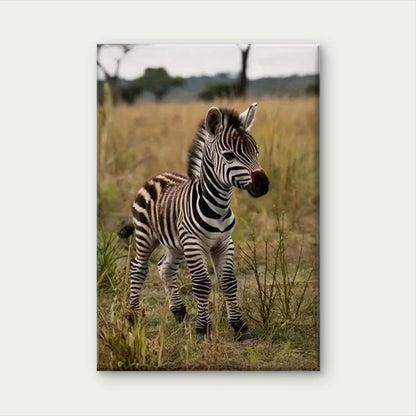 Zebra in the Savannah Oil Painting 60x90cm Metal Print Ready to Hang