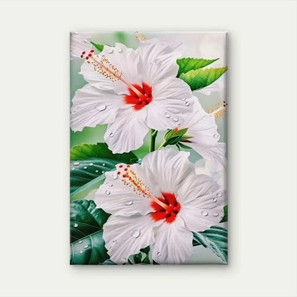 White Hibiscus with Red Centers  Metal Print Ready to Hang