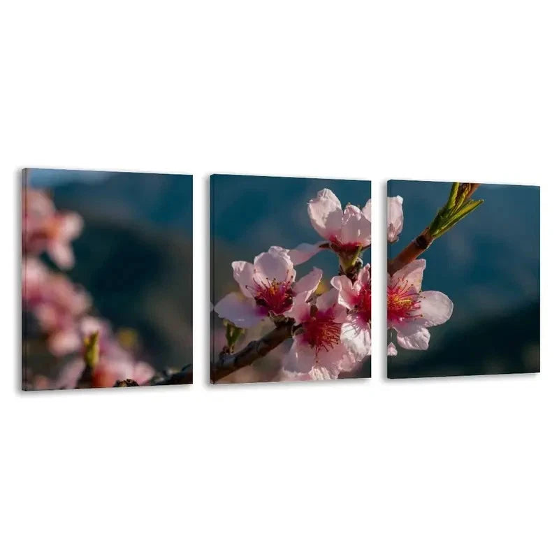 3pcs Peach Blossom Modern Decor   Wall Art Set Canvas Framed 60x90cm - High Quality Print 100% Australian Made Wall Canvas Ready to Hang