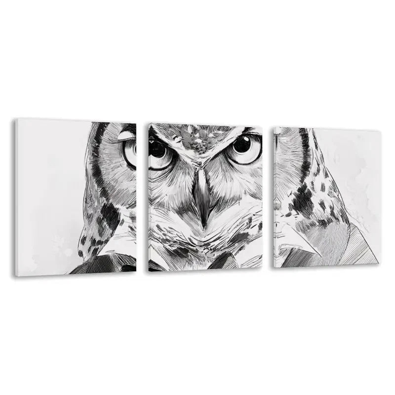 3pcs Black and White Owl Design   Wall Art Set Canvas Framed 60x90cm - High Quality Print 100% Australian Made Wall Canvas Ready to Hang