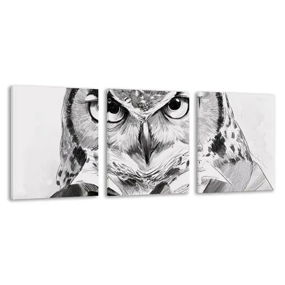 3pcs Black and White Owl Design   Wall Art Set Canvas Framed 60x90cm - High Quality Print 100% Australian Made Wall Canvas Ready to Hang
