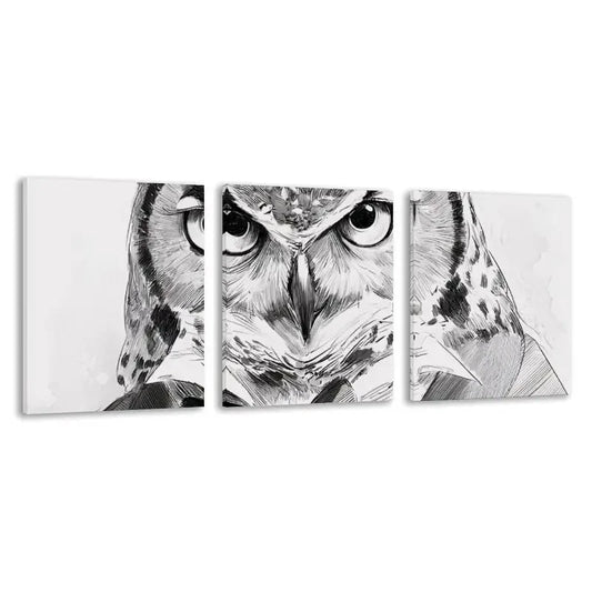 3pcs Black and White Owl Design   Wall Art Set Canvas Framed 60x90cm - High Quality Print 100% Australian Made Wall Canvas Ready to Hang