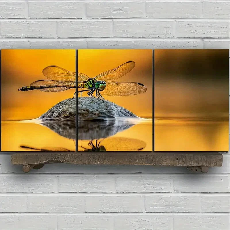 3pcs Dragonfly On Stone River Side Metal Print Ready to Hang Art