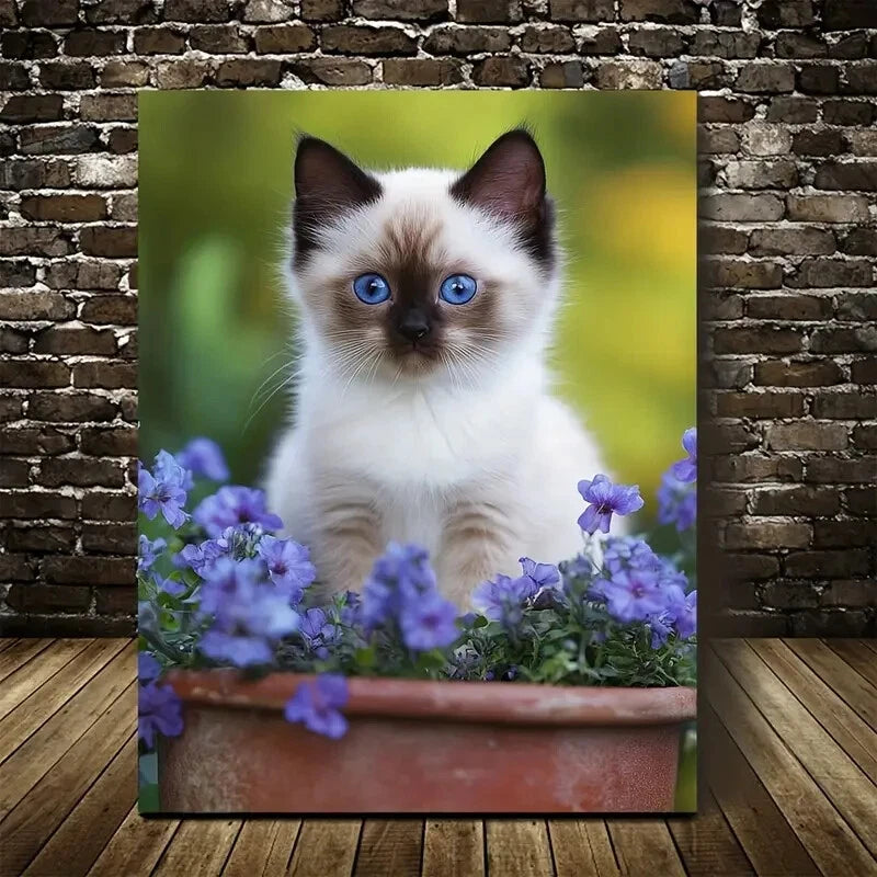 Adorable Birman Kitten with Blue Eyes Painting 40x60cm Metal Print Ready to Hang