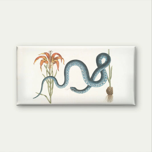 Vintage Blue Snake & Lily Botanical Wall Art Canvas Office Home Framed 120x60cm
