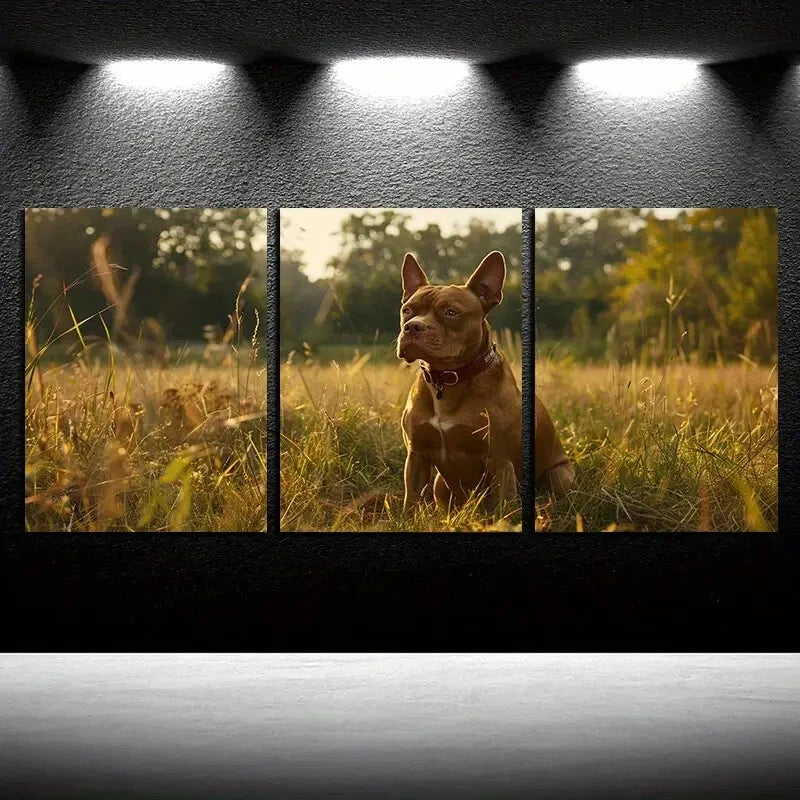 3pcs Bulldog in Field Illustration Metal Print Ready to Hang Art