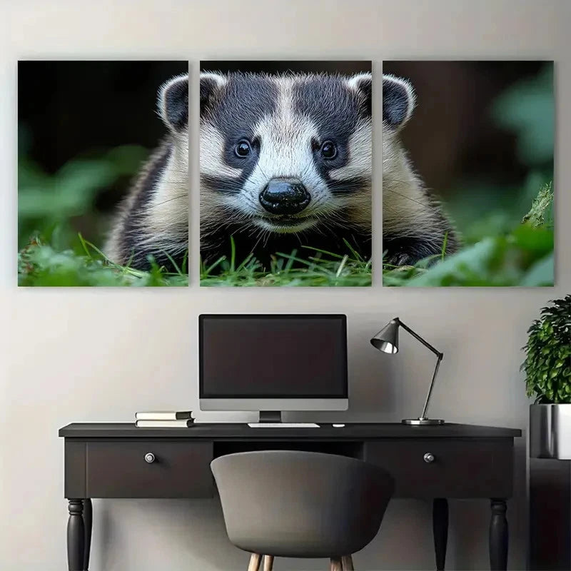3pcs European Badger Cautiously Exploring Grassy Wall Art Set Canvas Framed 60x90cm - High Quality Print 100% Australian Made Wall Canvas Ready to Hang