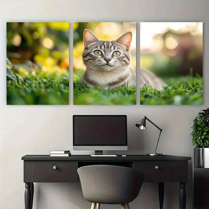 3pcs British Silver Tabby Cat Green Grass Metal Print Ready to Hang Art