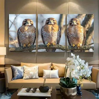 3pcs Birds of Prey sitting in a tree Metal Print Ready to Hang Art