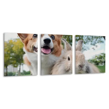 3pcs Adorable Corgi & Rabbit Smiling Design   Wall Art Set Canvas Framed 60x90cm - High Quality Print 100% Australian Made Wall Canvas Ready to Hang