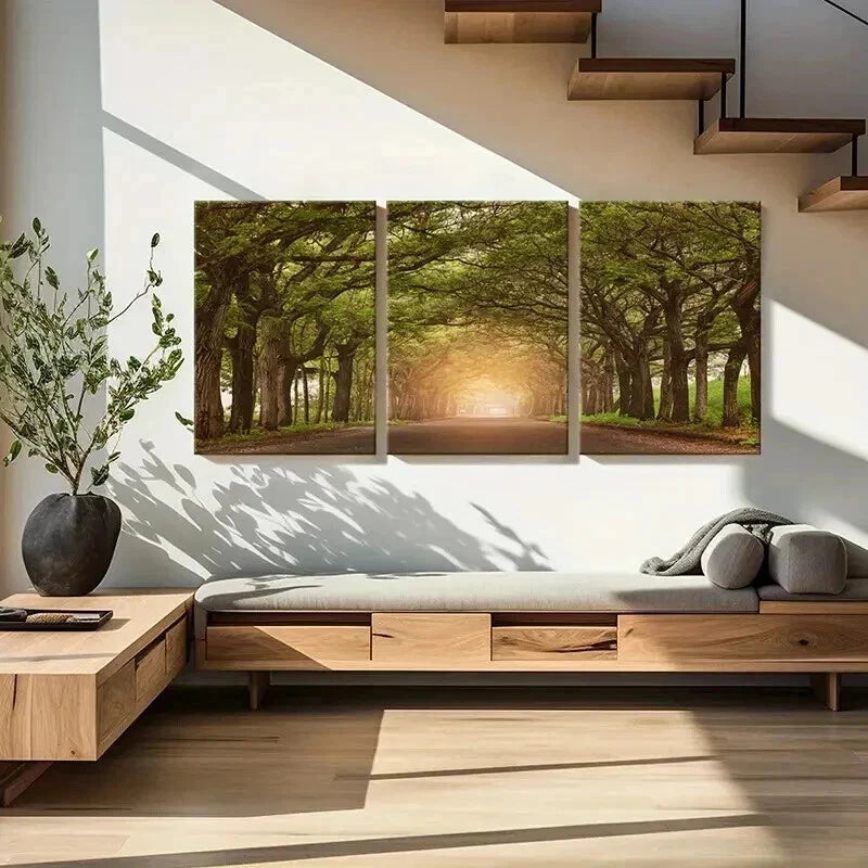 3pcs Sunshine Through Trees Roads Modern Wall Art Set Canvas Framed 40x60cm - High Quality Print 100% Australian Made Wall Canvas Ready to Hang