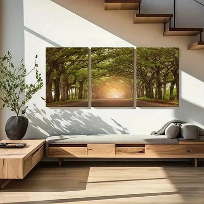 3pcs Sunshine Through Trees Roads Modern Wall Art Set Canvas Framed 40x60cm - High Quality Print 100% Australian Made Wall Canvas Ready to Hang
