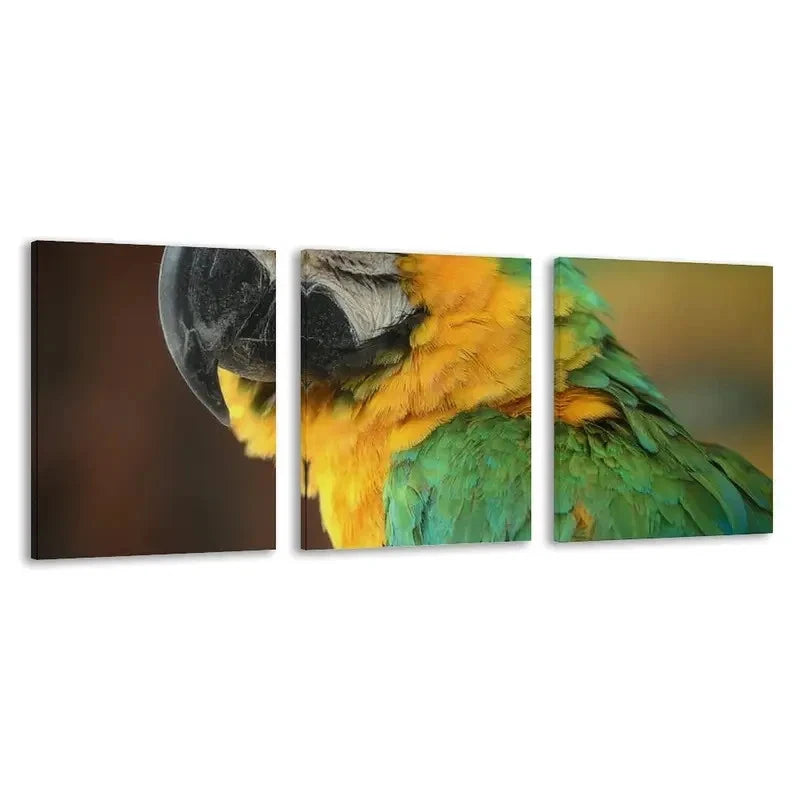 3pcs Vibrant Feathers Of The Green Macaw  Wall Art Set Canvas Framed 60x90cm - High Quality Print 100% Australian Made Wall Canvas Ready to Hang