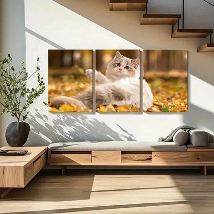 3pcs Cute Kitten in Autumn Splendor Wall Art Set Canvas Framed 40x60cm - High Quality Print 100% Australian Made Wall Canvas Ready to Hang